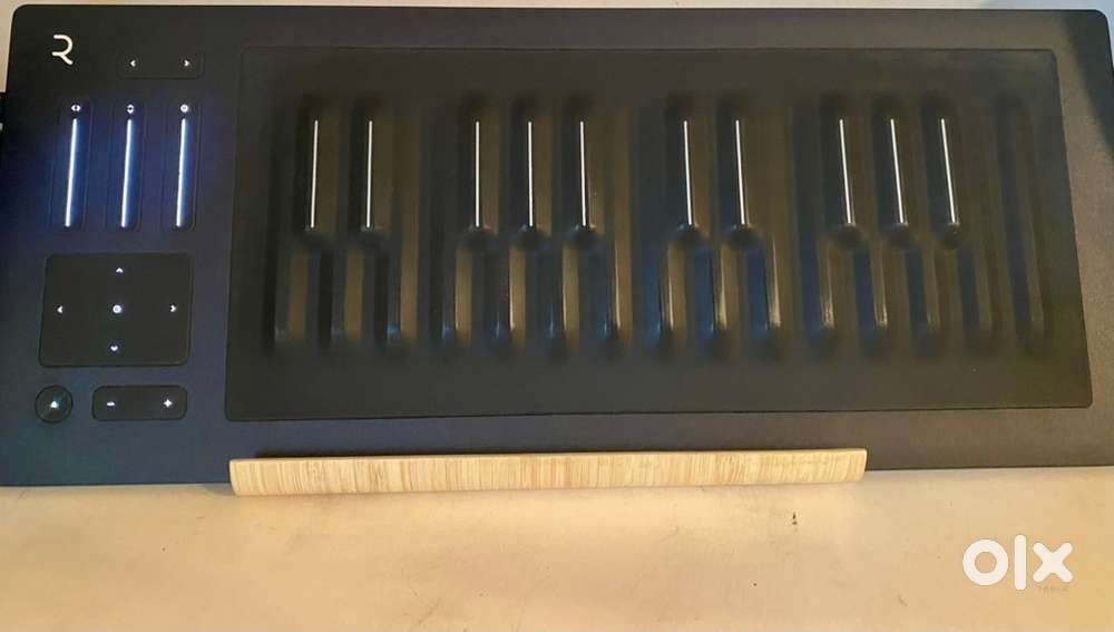 Roli Seaboard Rise 25