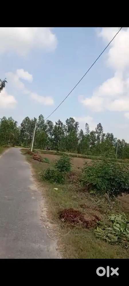 18 bigha jameen hai
11  lakh per bigha Railway roshanpur4km  udhapur