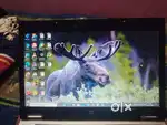 HP LAPTOP sell 1000
