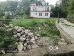 One kanaal plot for sale near sungal Palampur