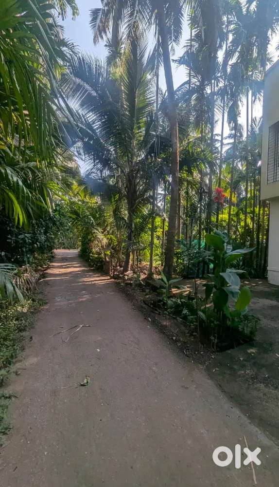 Agriculture land /kelwe road / near kelwe beach