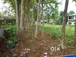 For Sale 1 Bigha /20 Katha
