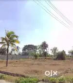Plot with clear title for sale