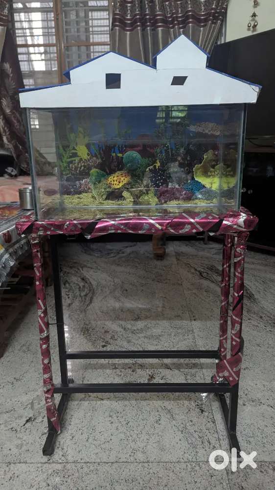 Aquarium stand and tank