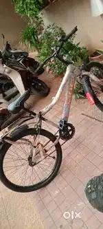 It's brand new