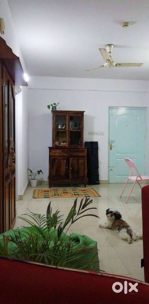 Kitchen cabinet Solid seesham  wood