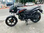 Bajaj pulsar 125 Dual seat Brand New condition