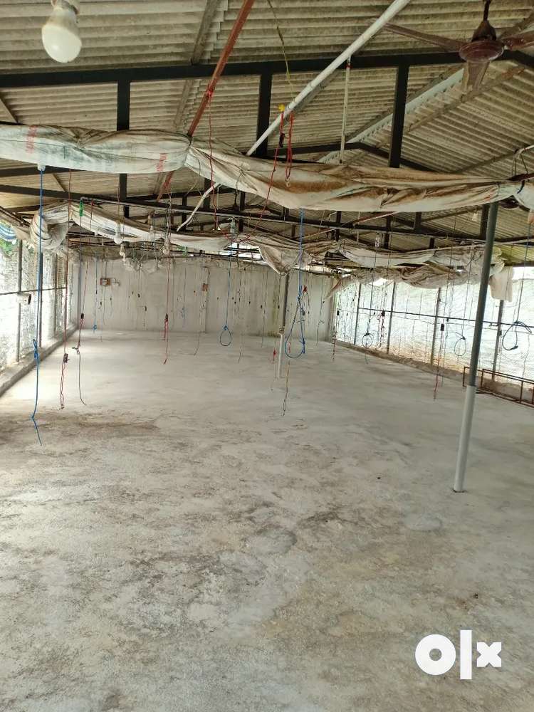 Poultry farm for sale in Thenkasi