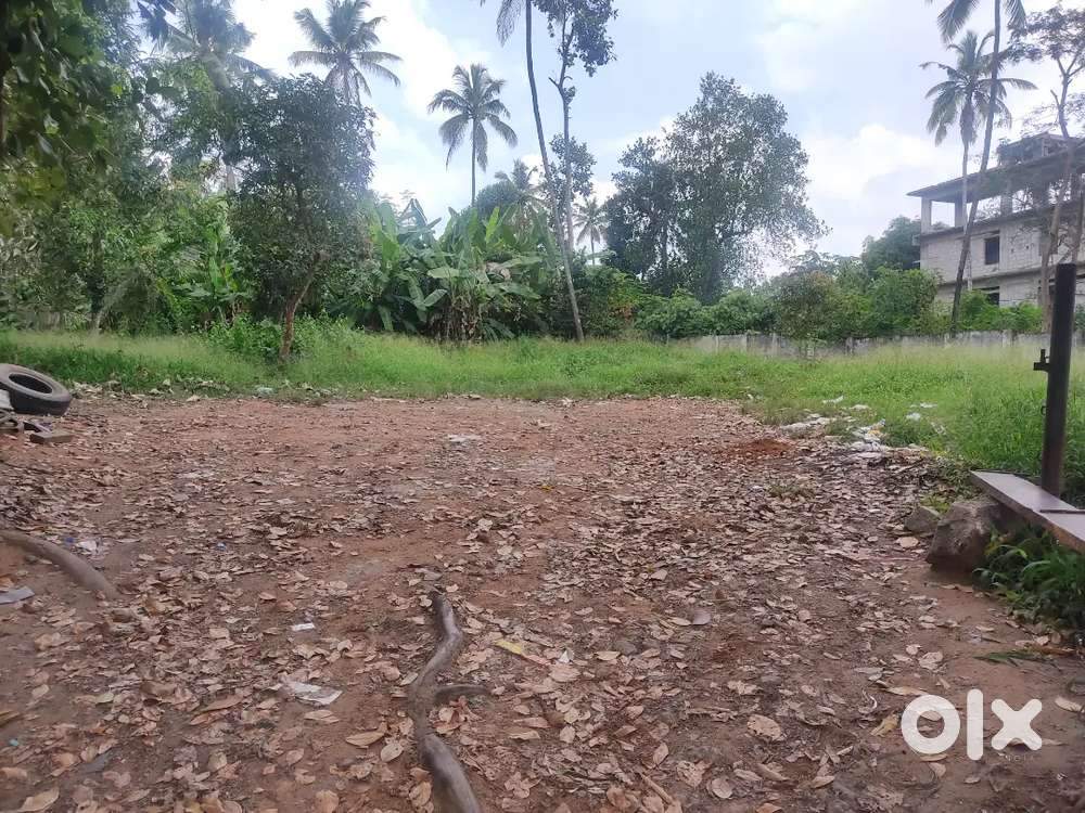 6 cents plot at venjaramoodu junction