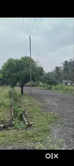 Seelnaayaicken patty _Vedha vikas school