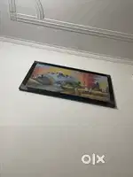 Need Roommates