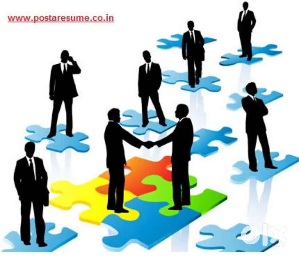 sales executive(field work)