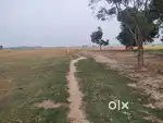 Land for Sales