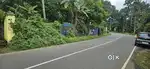 Pullad Vennikulam Road frontage 11 cent commerce plot sale