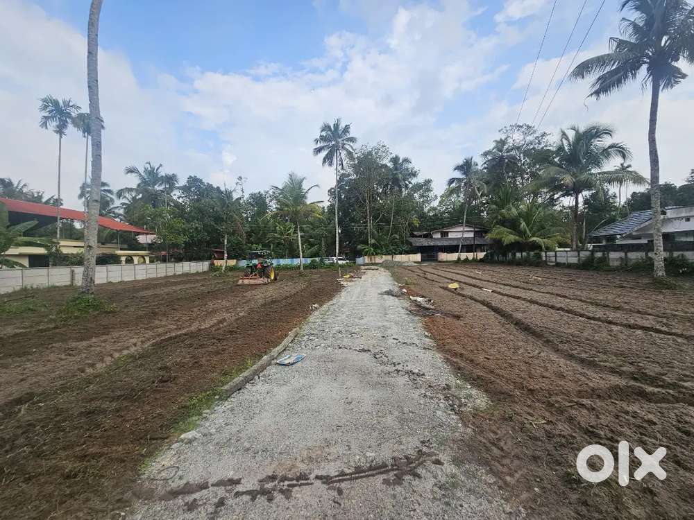 ചെട്ടികുളങ്ങരയിൽ ഹൗസ് പ്ലോട്ടുകൾ ടാർ റോഡ് സൈഡിൽ വില്പനക്ക്