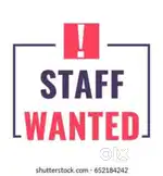 Female sales executive in handloom textile shop
