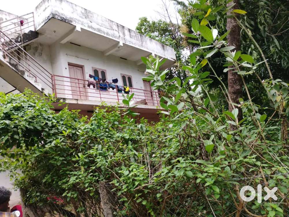 House for rent in Thammathukonam , kambipallam junction near 500m