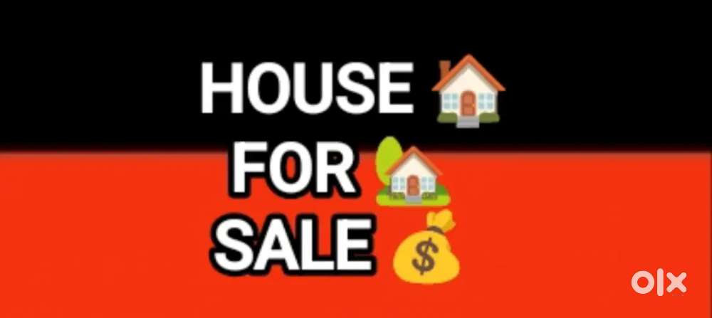 Mohini park opp khalsa College 150 yard House best fr pg for sale