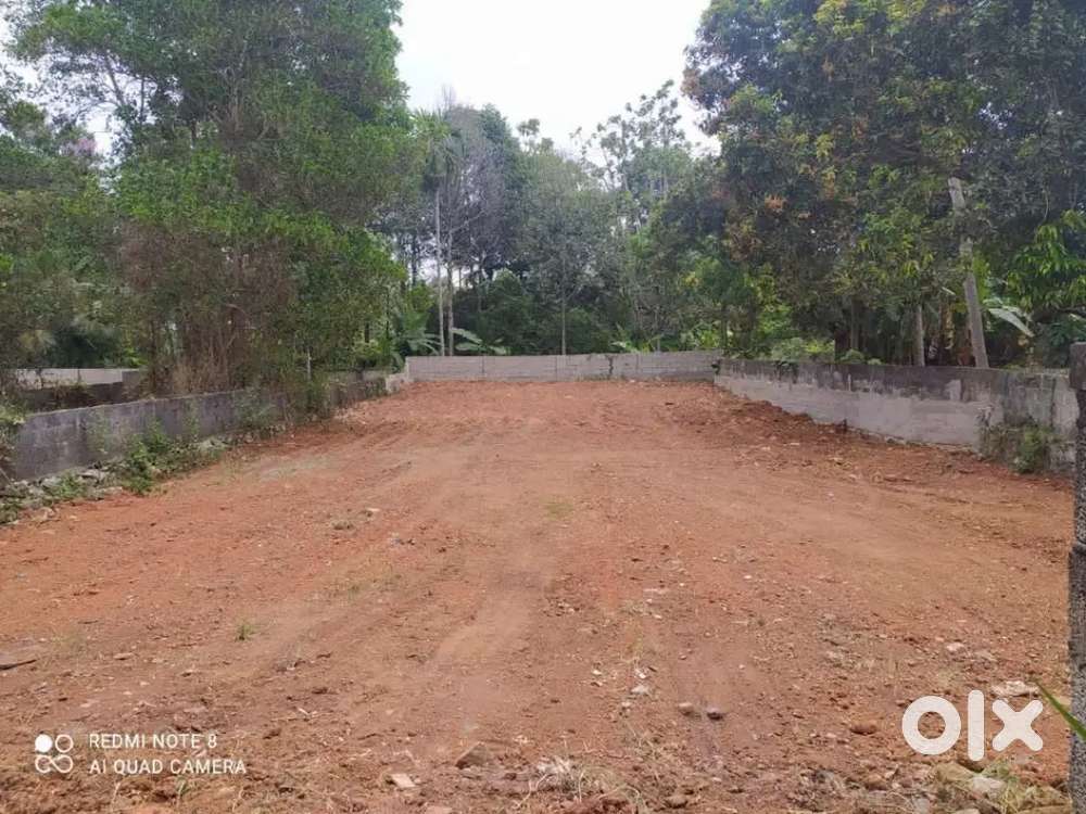 Vattiyorkave 10 cent