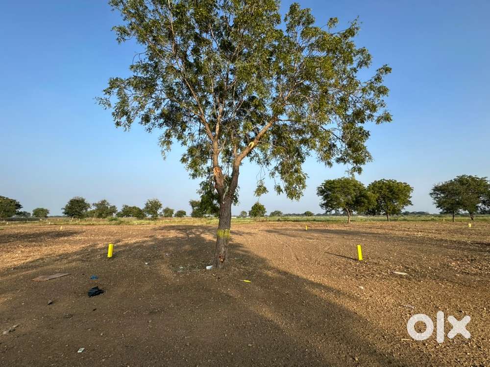 West Road Potti Plot for 50% Discount from Market Price