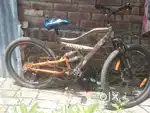 Avon xxx cycle