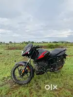 Pulsar-125(Carbon Edition)