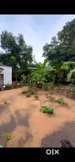 Good plot for sale