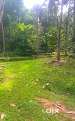 9.25 cent commercial plot for sale near chevarambalam by pass