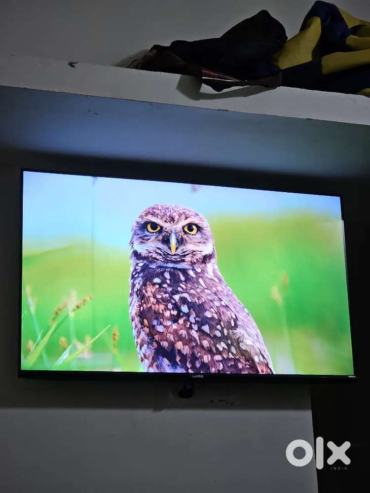 Wobble  43 inch 4k led tv