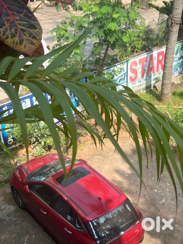 Driver for private car