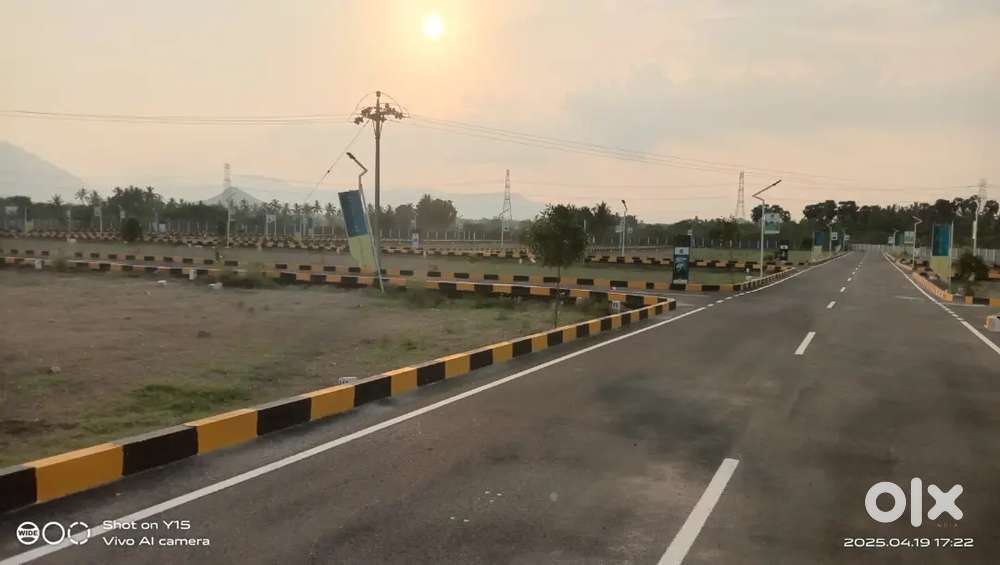 Christmas Offers only first 10 Buyers