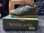 Woodland shoes for sale