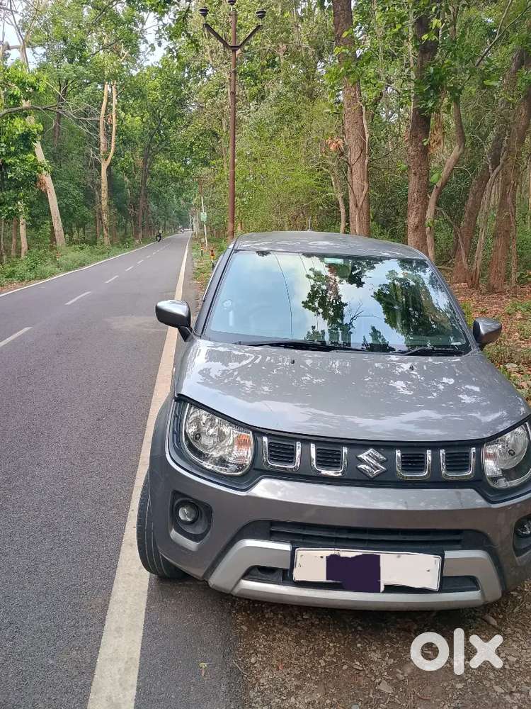 Maruti Suzuki Ignis 2020 November Petrol 60000 Km Driven