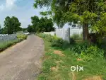Sohna Ballabhgarh Road,