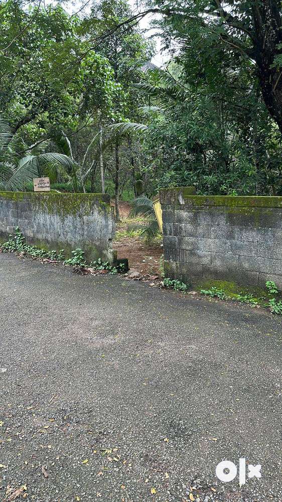 6.50 CENTS RESIDENTIAL PLOT FOR SALE IN THAMALAM