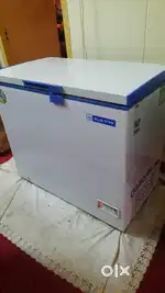 200 lit bluestar deep freezer