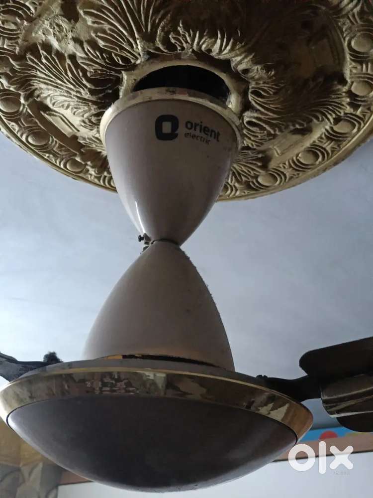 Selling Fan
