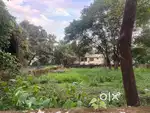 17 cents of prime residential plot for sale at Chandranagar, Palakkad