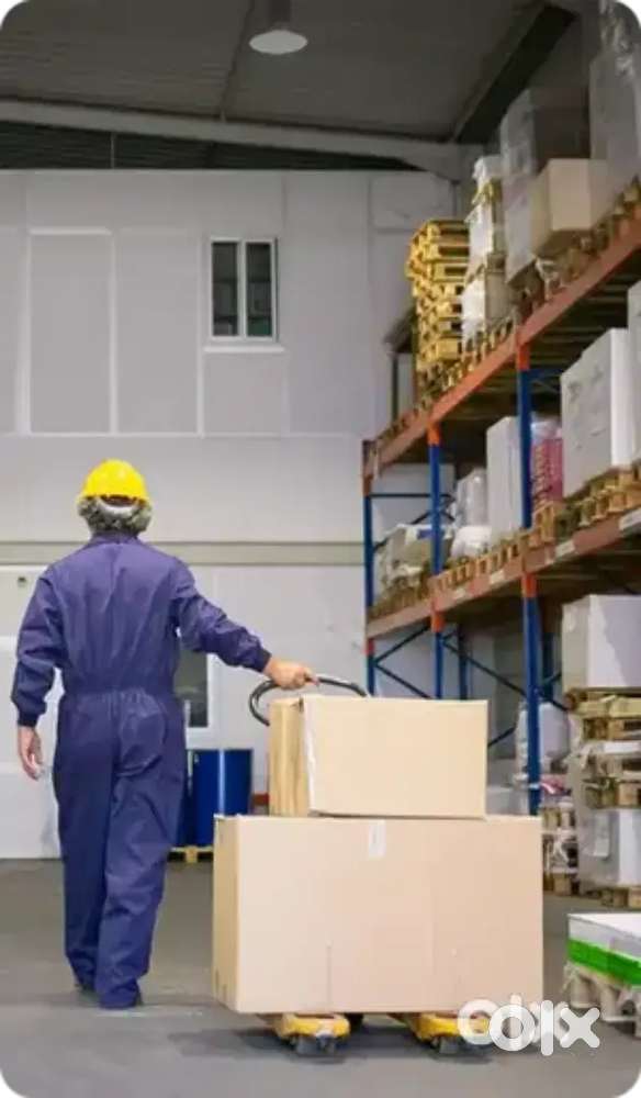 गोदाम में पैकिंग के लिये लड़के / लड़कियों की ज़रूरत है!