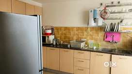 2.5 storay Kothi for sale sigma city I