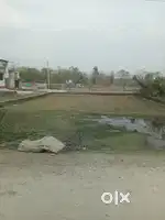 GENERAL REGISTERED LAND