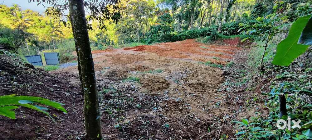 വള്ളകടവ് Town അടുത്ത് House Plot