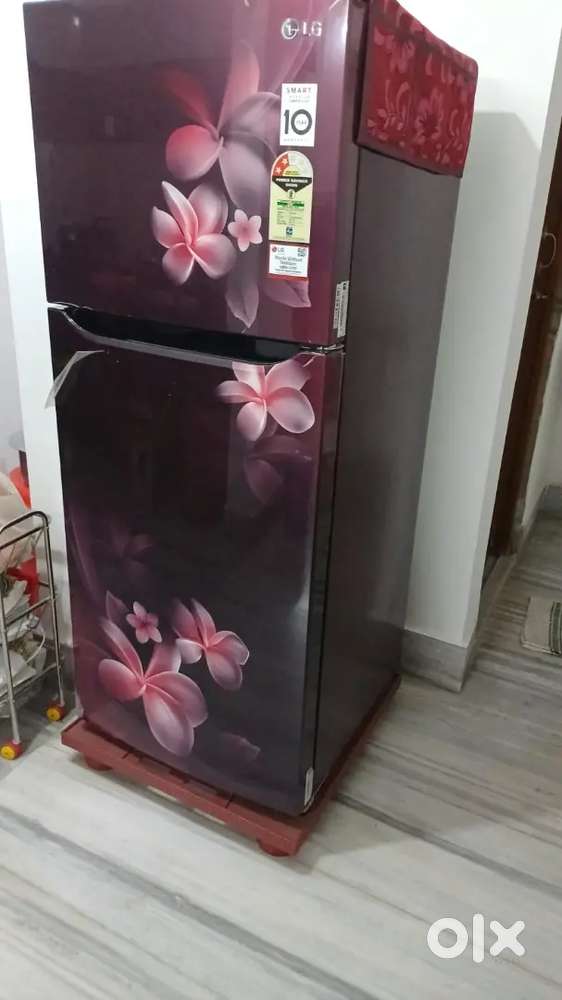 LG 2 STAR DOUBLE DOOR FRIDGE 260 LTR