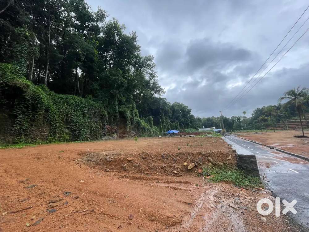 Kothamangalam Nellimattom 8 cent house plot for sale