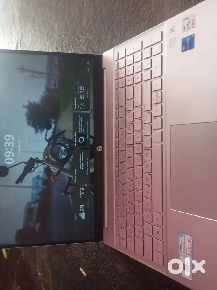 Hp Laptop (1 year old)