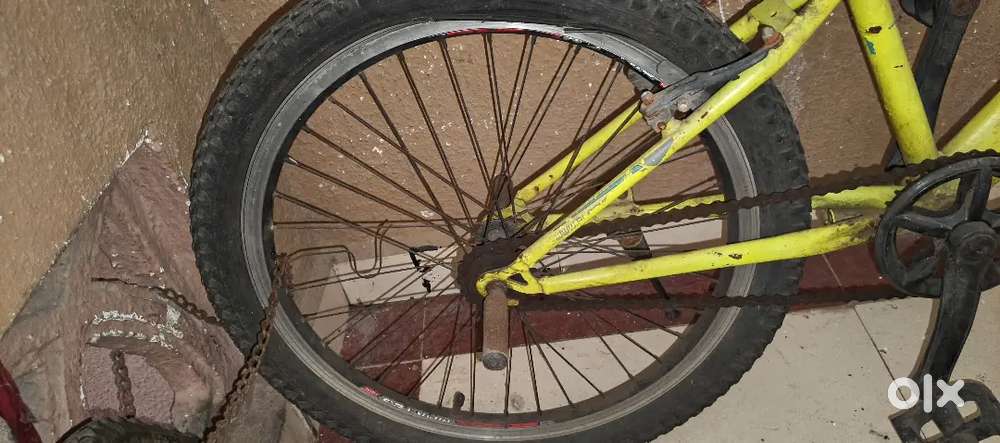 Low prices if you want you can take