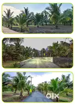 Farm land for sale 30Cent to 7.2 Acres