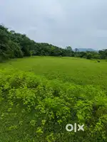 Investment purpose land