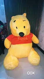 Teddy pooh