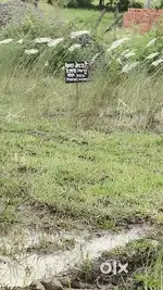 Plot for sale corner